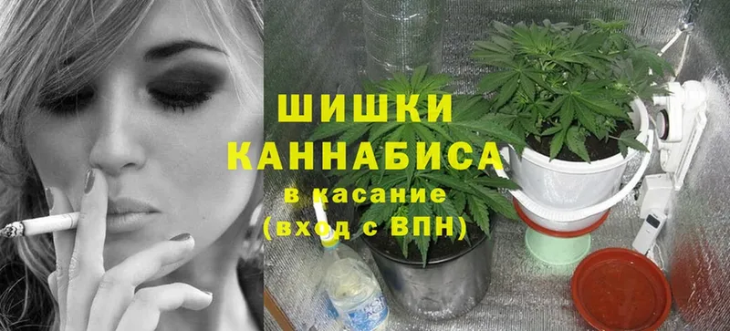 Каннабис THC 21%  kraken зеркало  Карачаевск 